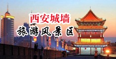 免费看美女的逼中国陕西-西安城墙旅游风景区